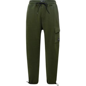 HOLLISTER Kalhoty tmavě zelená