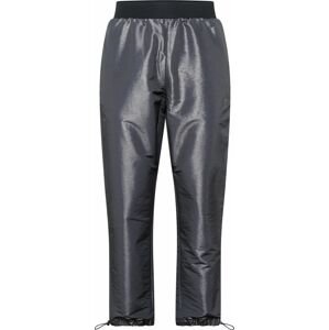 ADIDAS PERFORMANCE Sportovní kalhoty tmavě šedá