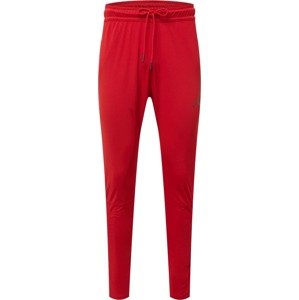 Jordan Sportovní kalhoty červená