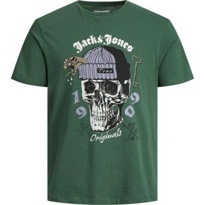 JACK & JONES Tričko 'Dome' starobéžová / šedý melír / tmavě zelená / černá / bílá