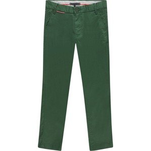 TOMMY HILFIGER Kalhoty námořnická modř / zelená / červená / bílá