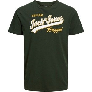 Jack & Jones Plus Tričko žlutá / zelená / bílá