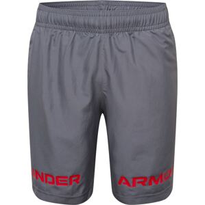 UNDER ARMOUR Sportovní kalhoty šedá / červená