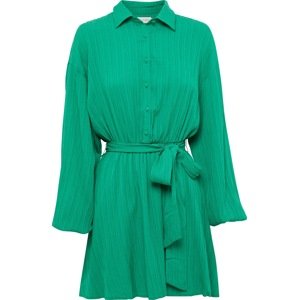 Tussah Košilové šaty 'TANA' zelená