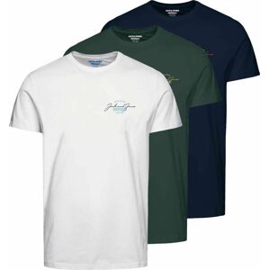 JACK & JONES Tričko 'FERRY' námořnická modř / tyrkysová / trávově zelená / bílá