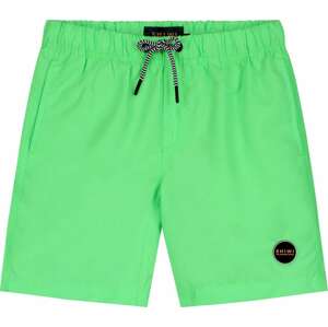 Plavecké šortky 'Mike' Shiwi svítivě zelená
