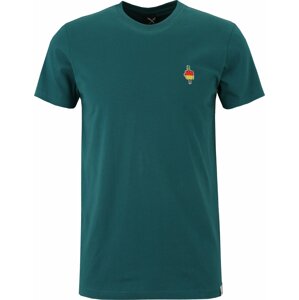 Tričko 'Flutscher' Iriedaily zelená / mix barev