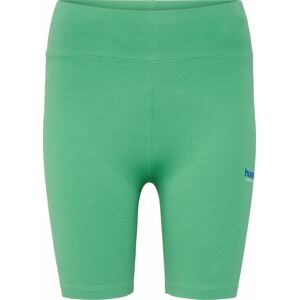 Sportovní kalhoty 'Cameron' Hummel enciánová modrá / zelená