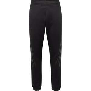 Sportovní kalhoty 'Future Icons 3-Stripes' ADIDAS SPORTSWEAR šedá / černá