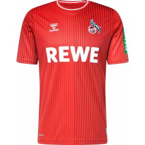 Trikot 'FC Köln 23-24 Auswärts' Hummel modrá / zelená / červená / bílá