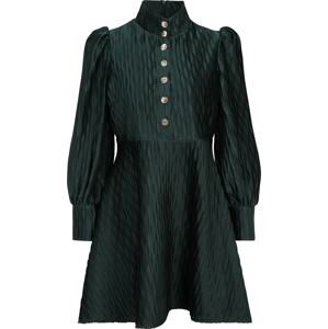 Košilové šaty 'RIPPLE' Y.A.S Petite tmavě zelená