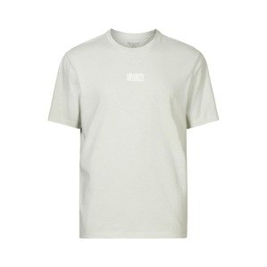 AllSaints Tričko světle šedá / bílá