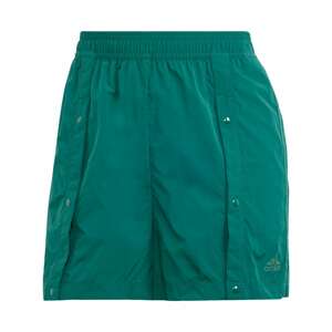 ADIDAS SPORTSWEAR Sportovní kalhoty 'Tiro' zelená