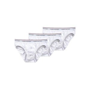 Tommy Hilfiger Underwear Slipy námořnická modř / bílá