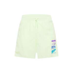 ADIDAS SPORTSWEAR Sportovní kalhoty 'Essentials BrandLove Chelsea' pastelově zelená / mix barev