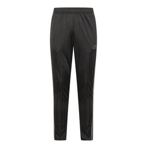 ADIDAS SPORTSWEAR Sportovní kalhoty šedá / antracitová / černá