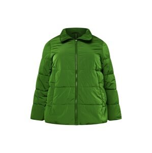 SAMOON Zimní bunda zelená