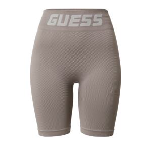 GUESS Sportovní kalhoty 'Trudy'  šedobéžová / světle šedá