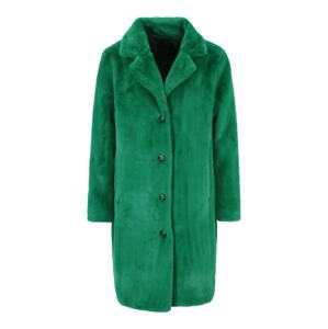 OAKWOOD Zimní kabát 'CYBER' zelená