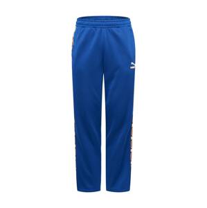 PUMA Sportovní kalhoty 'Psychedelic' béžová / modrá
