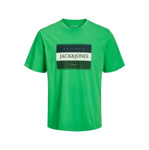 JACK & JONES Tričko 'Codyy' námořnická modř / jedle / světle zelená / bílá