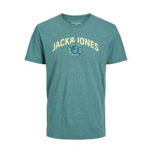 JACK & JONES Tričko smaragdová / světle zelená