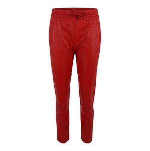 OAKWOOD Kalhoty 'GIFT' tmavě červená