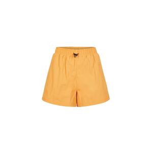 O'NEILL Outdoorové kalhoty 'Trek' tmavě žlutá / stříbrně šedá