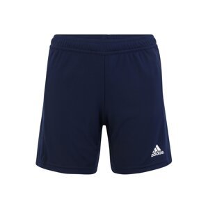ADIDAS PERFORMANCE Sportovní kalhoty 'Team 19'  bílá / marine modrá