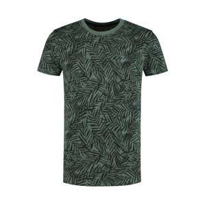 Shiwi Shirt 'Tee Mangrove'  světle zelená