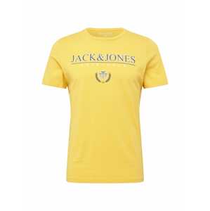 JACK & JONES Tričko 'DORM'  žlutá / mix barev
