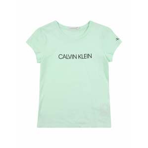 Calvin Klein Jeans Tričko 'Institutional'  pastelově zelená / černá