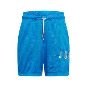 Jordan Sportovní kalhoty  modrá
