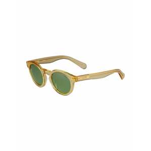 Polo Ralph Lauren Sluneční brýle '0PH4165'  šedá / zlatá
