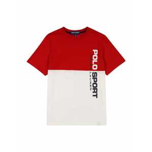 Polo Ralph Lauren T-Shirt  bílá / červená / tmavě modrá