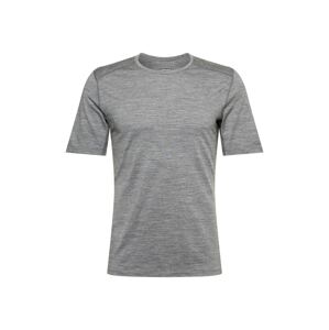 ICEBREAKER Funkční tričko '200 Oasis' šedý melír
