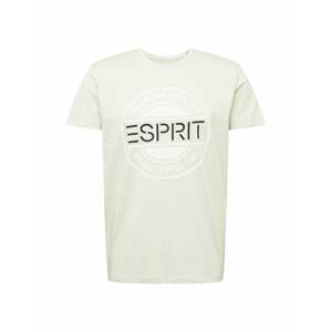 ESPRIT Tričko  pastelově zelená / bílá / černá