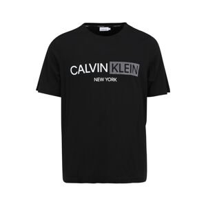 Calvin Klein Big & Tall Tričko  černá / bílá / stříbrně šedá