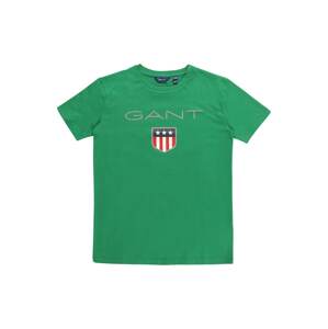 GANT T-Shirt  zelená / šedá
