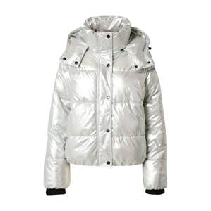 DKNY Performance Zimní bunda  stříbrná