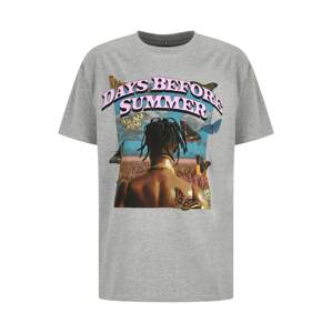 MT Upscale Tričko 'Days Before Summer' hnědá / světle šedá / růžová / černá