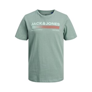 Jack & Jones Junior Tričko 'Raymond'  šedá / mátová / červená