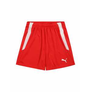 PUMA Sportovní kalhoty 'TeamLIGA'  červená / bílá