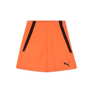 PUMA Sportovní kalhoty 'TeamLIGA'  oranžová / černá
