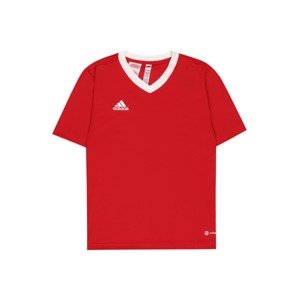 ADIDAS PERFORMANCE Funkční tričko  ohnivá červená / bílá