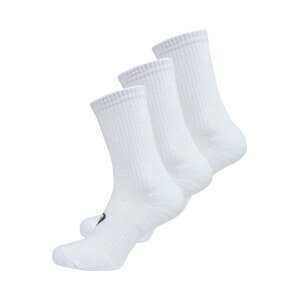 ASICS Sportovní ponožky tmavě šedá / bílá