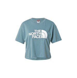 THE NORTH FACE Tričko  kouřově modrá / bílá
