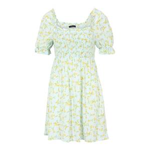 Trendyol Petite Letní šaty  azurová / žlutá / světle zelená