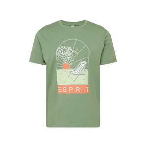 ESPRIT Tričko  zelená / lososová / bílá