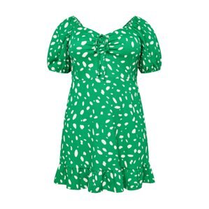 Dorothy Perkins Curve Šaty zelená / bílá
